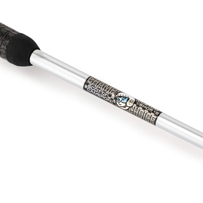 2025 SUPER SELECT NEWPORT 2+, MOTO, 34.5